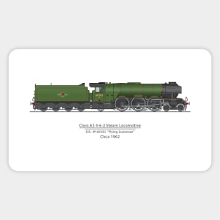 Flying Scotsman Circa 1962 Sticker